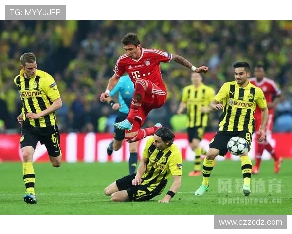 2019年德甲各球队派系划分汇总